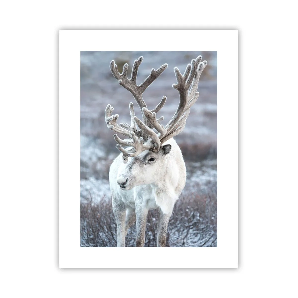 Poster - Portret in de zon - 30x40 cm