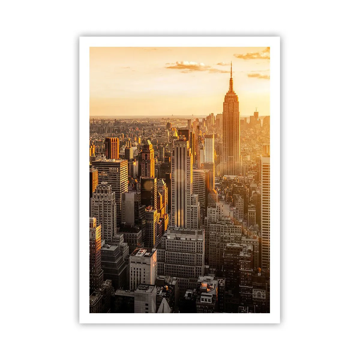 Poster - Groeien in de zon - 70x100 cm