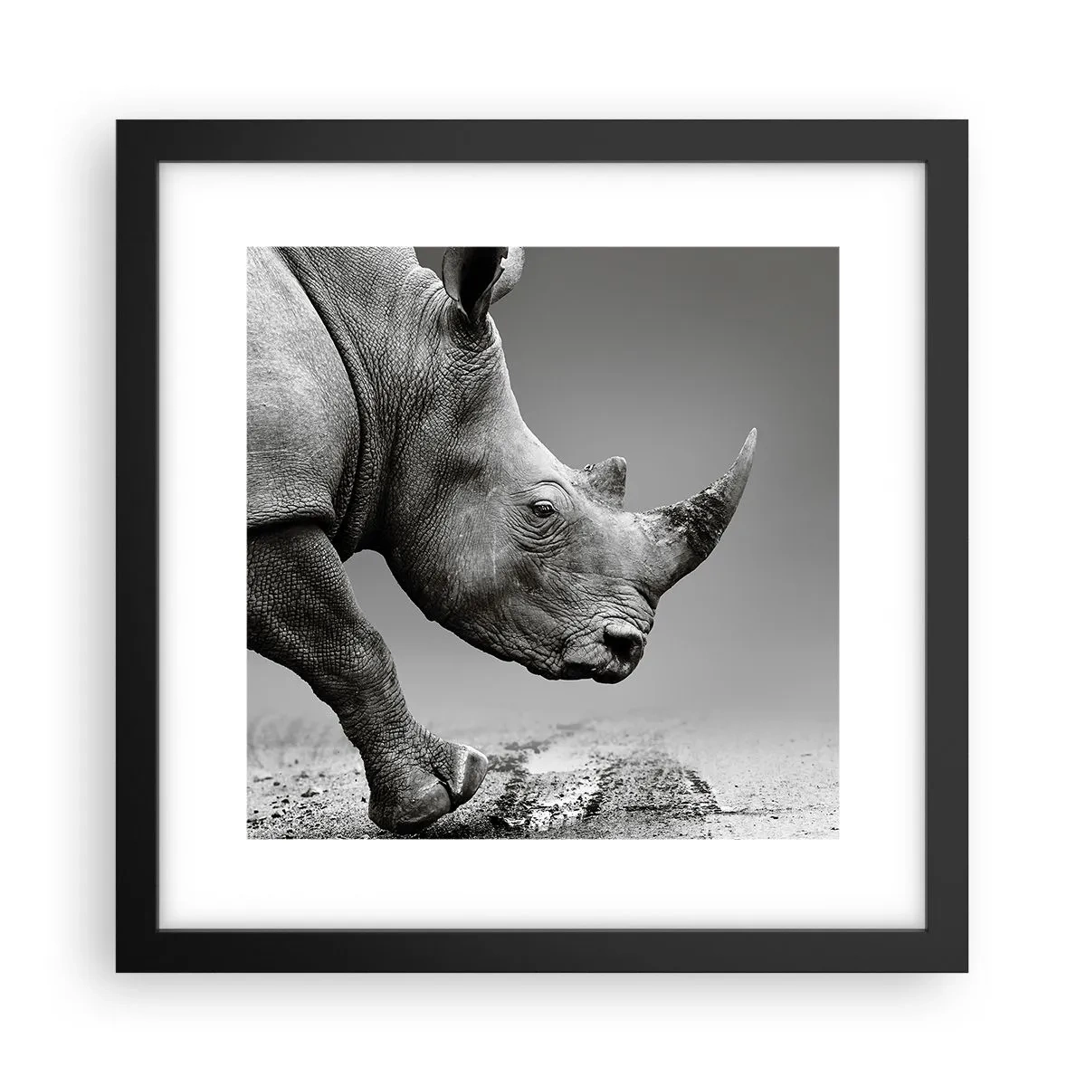 Poster in een zwarte lijst - Onstuitbare kracht - 30x30 cm