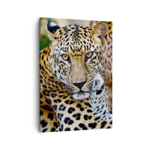 Schilderen op canvas - Wild en kalm - 50x70 cm