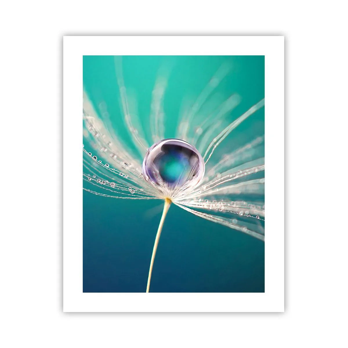 Poster - Mystiek moment - 40x50 cm