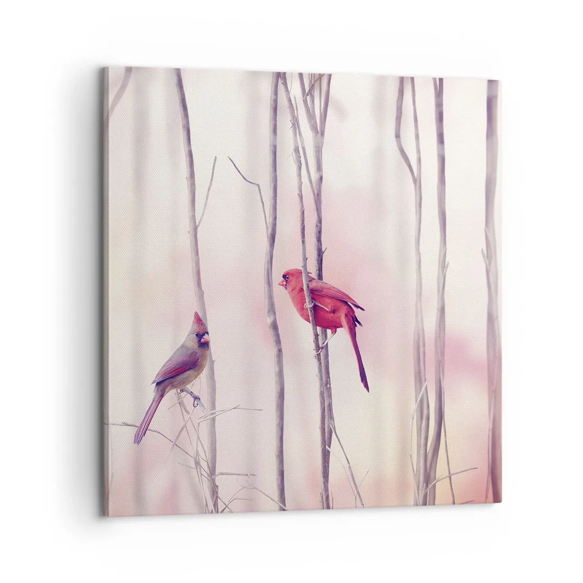 Schilderen op canvas - Verhaal van het roze woud - 60x60 cm