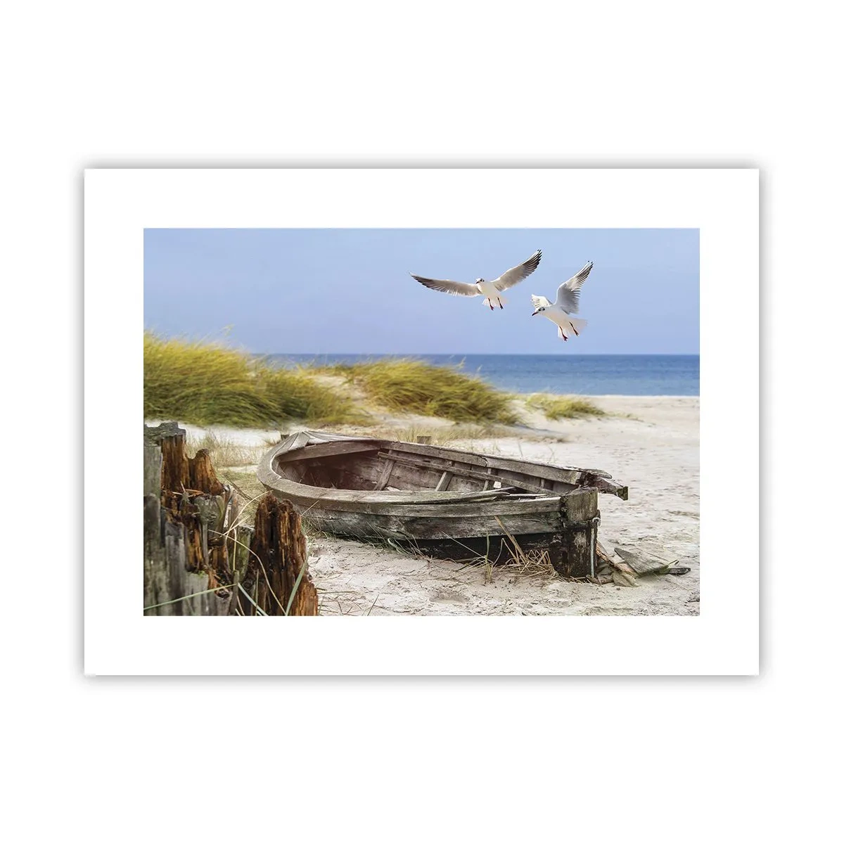 Poster - Badend in de wind - 40x30 cm