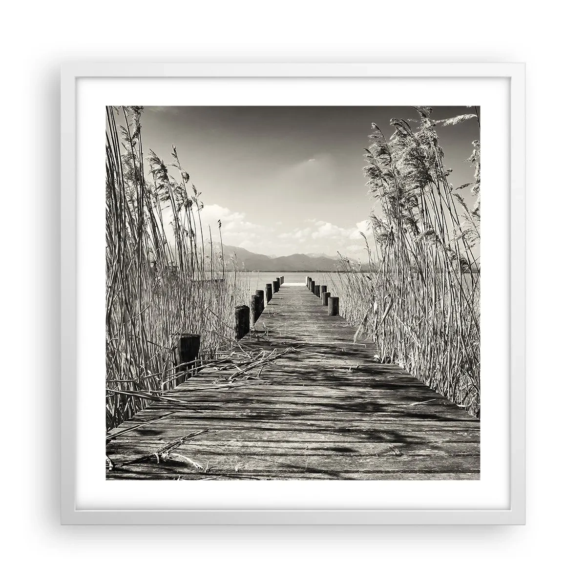 Poster in een witte lijst - In de stilte van het gras - 50x50 cm