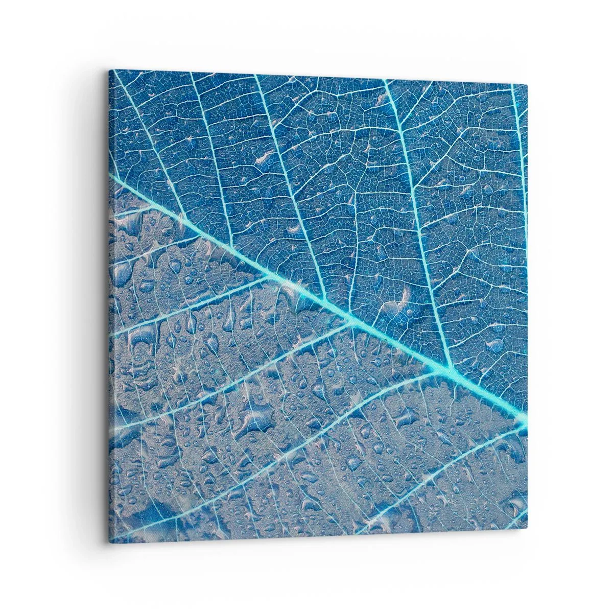 Schilderen op canvas - Leven in blauw - 60x60 cm