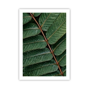 Poster - In een groen ritme - 50x70 cm