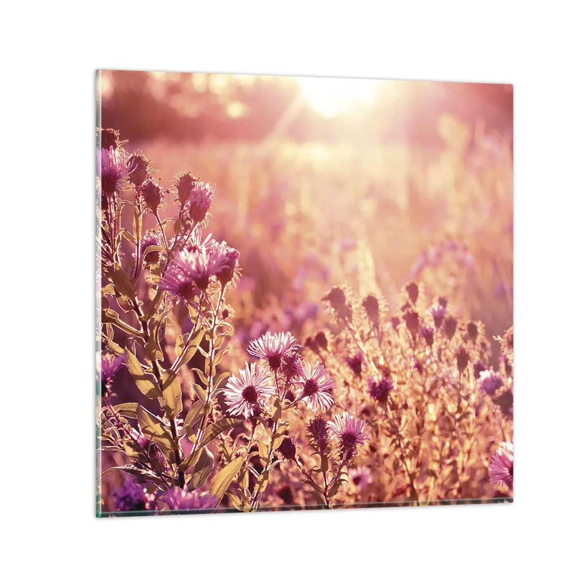 Schilderen op glas - Voordat de zomer voorbij is - 50x50 cm