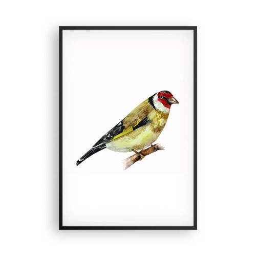 Poster in een zwarte lijst - Vogel portret - 61x91 cm