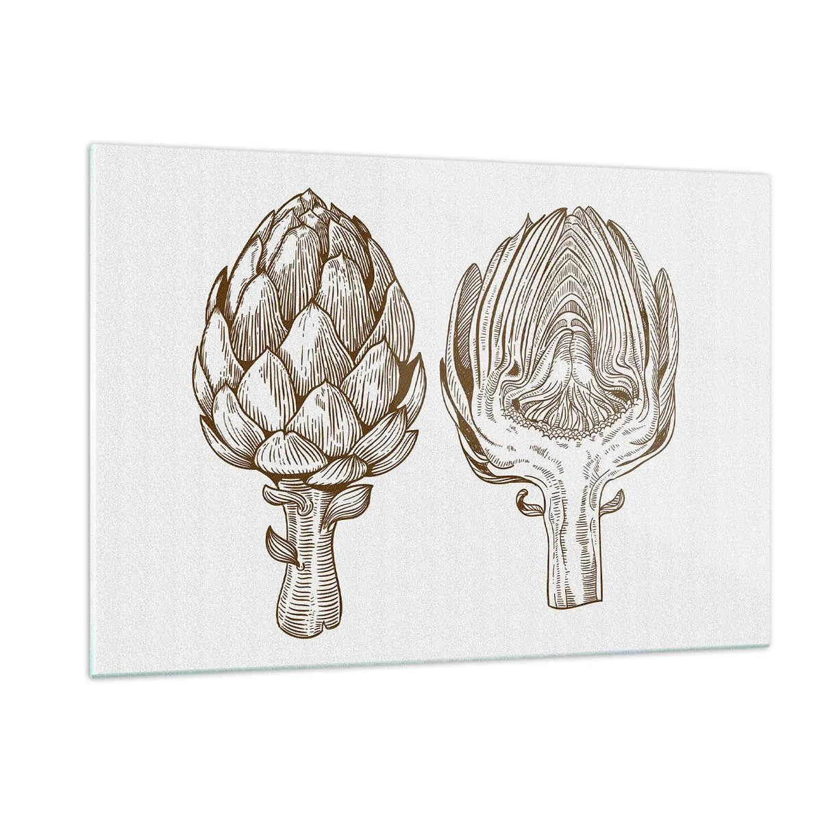 Schilderen op glas - Anatomieles - 120x80 cm