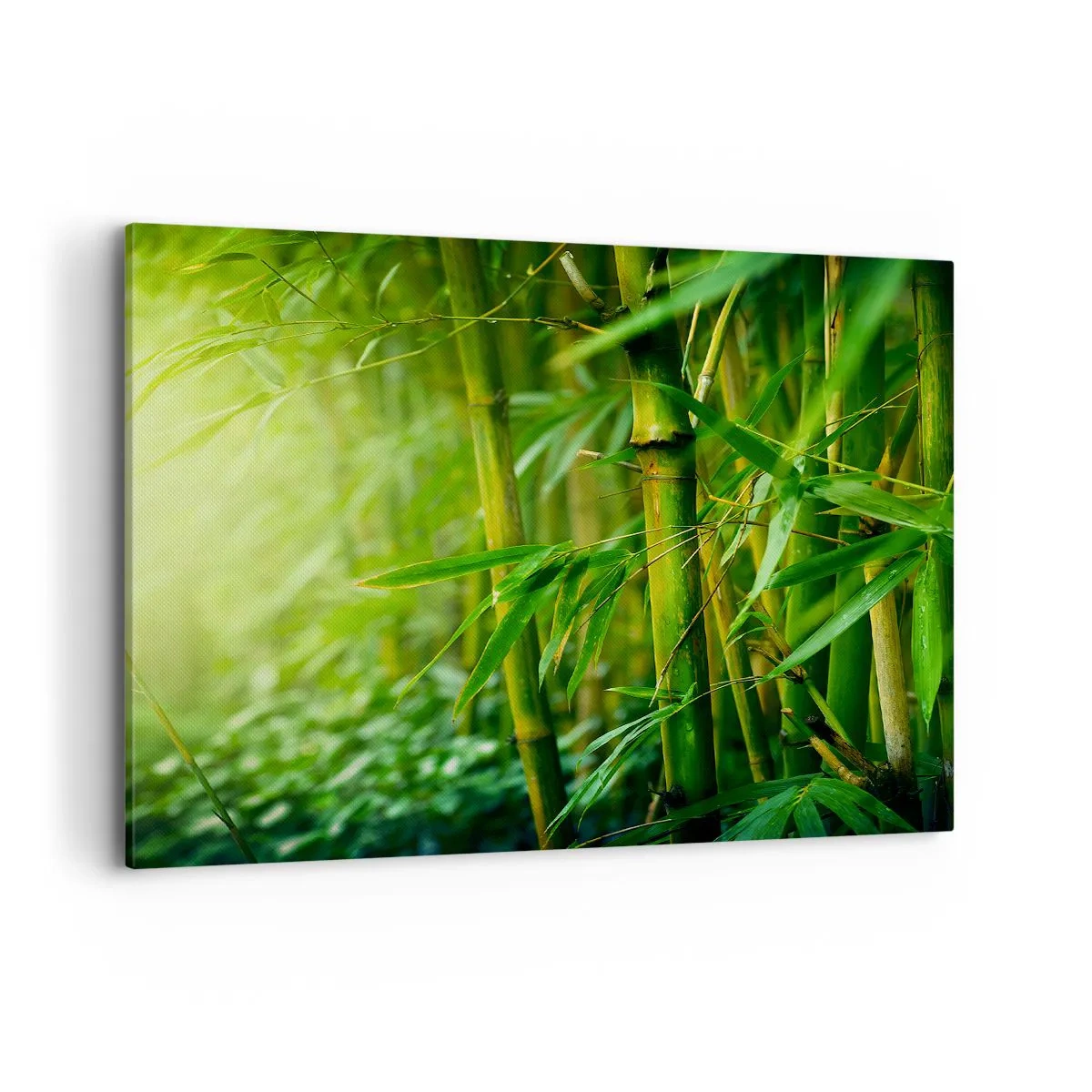 Schilderen op canvas - Maak kennis met groen zelf - 100x70 cm