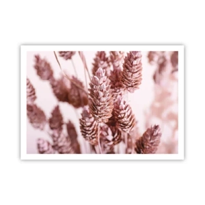 Poster - Schijnbaar onopvallend - 100x70 cm