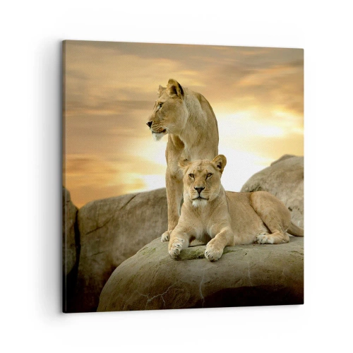 Schilderen op canvas - Koninklijke majesteit - 50x50 cm