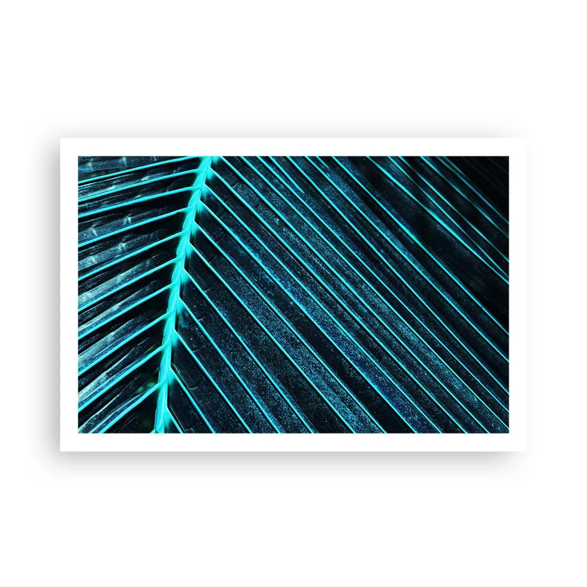 Poster - Groene textuur - 91x61 cm