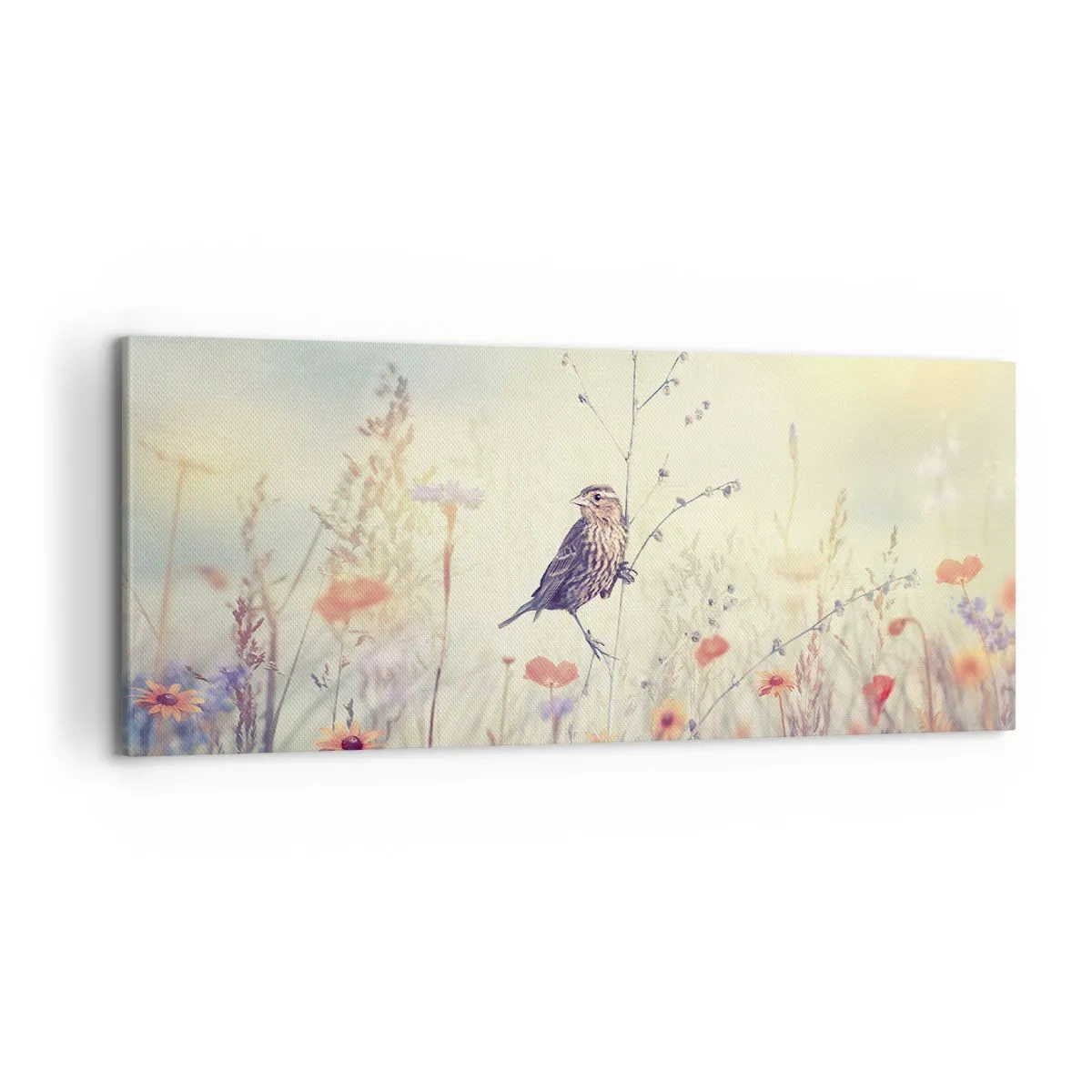 Schilderen op canvas - Vogelportret met een weiland op de achtergrond - 100x40 cm