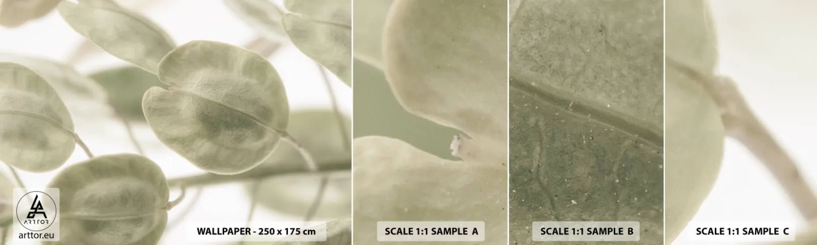 Fotobehang Staaltje Standard Eco - In het begin waren er bladeren... - Bloemen, Kalm, Bladeren - 100x30 cm