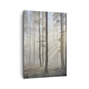 Schilderen op canvas - De mist werd ook wakker - 50x70 cm