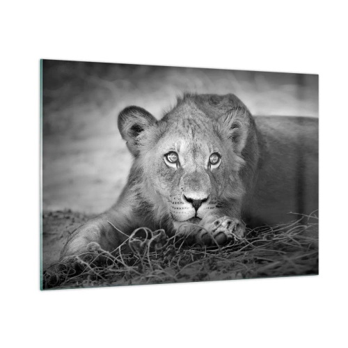 Schilderen op glas - Koninklijke puppy - 100x70 cm