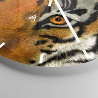 Dash schild
