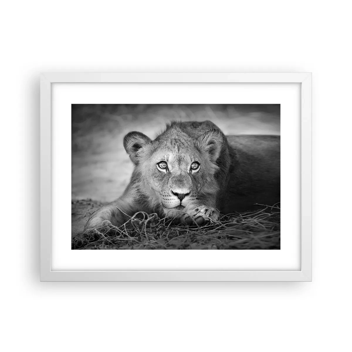 Poster in een witte lijst - Koninklijke puppy - 40x30 cm