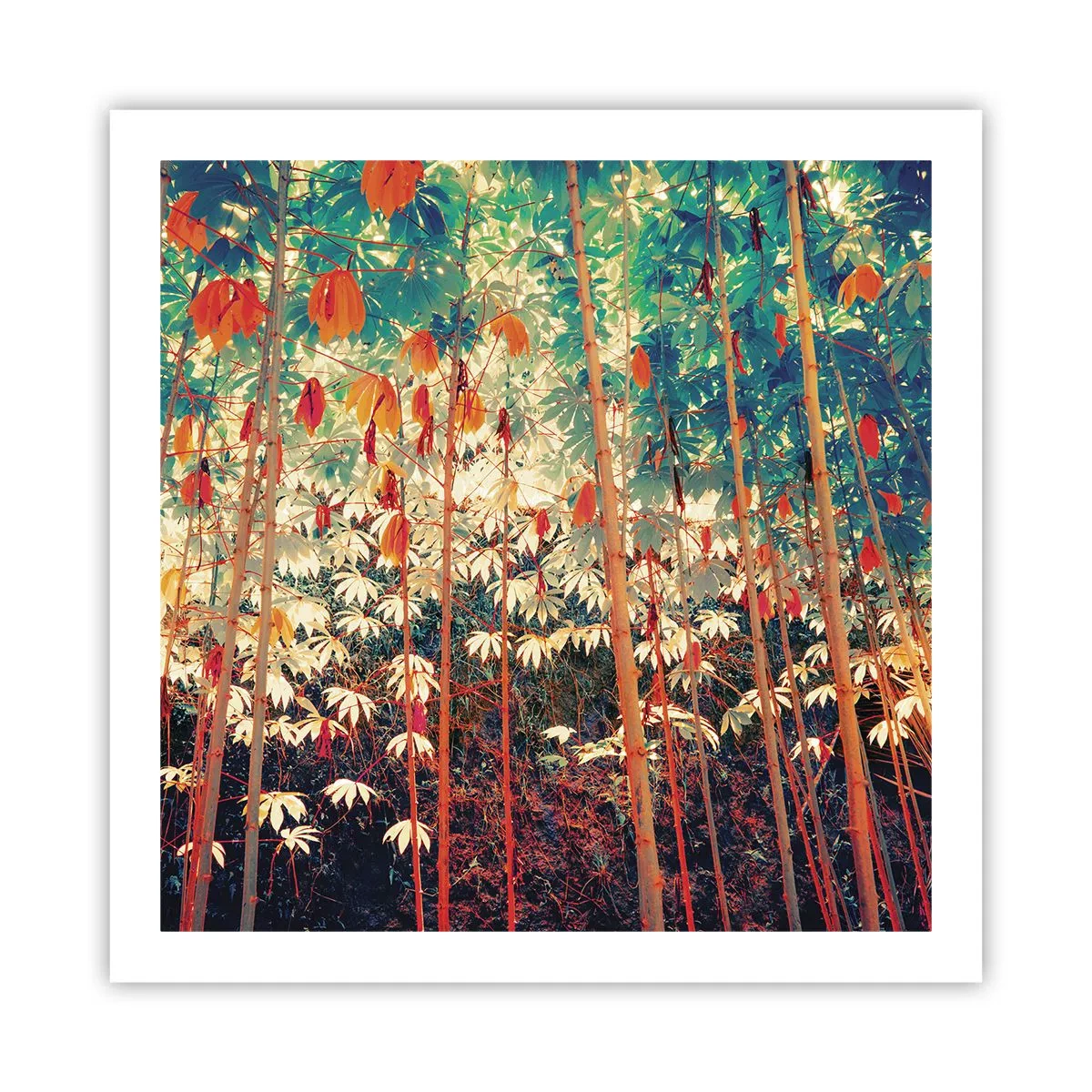 Poster - Het geheime leven van de bladeren - 60x60 cm