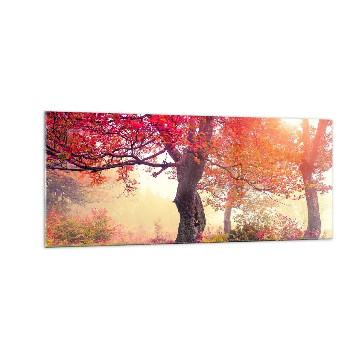 Schilderen op glas - Bloeiende razernij - 100x40 cm