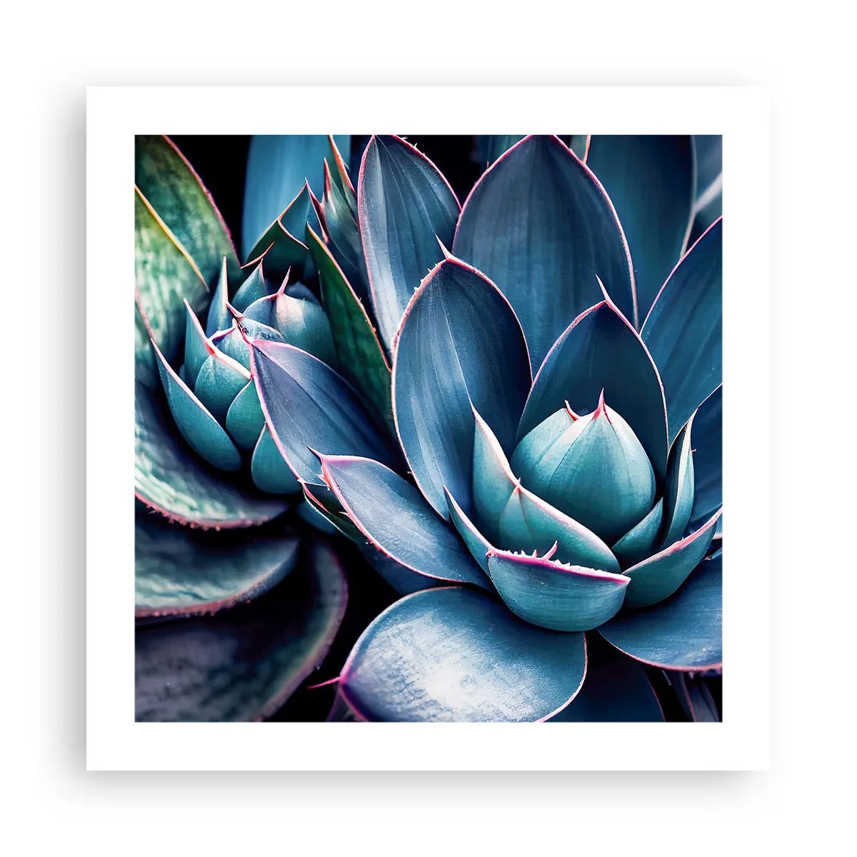 Poster - Levenskracht - 50x50 cm