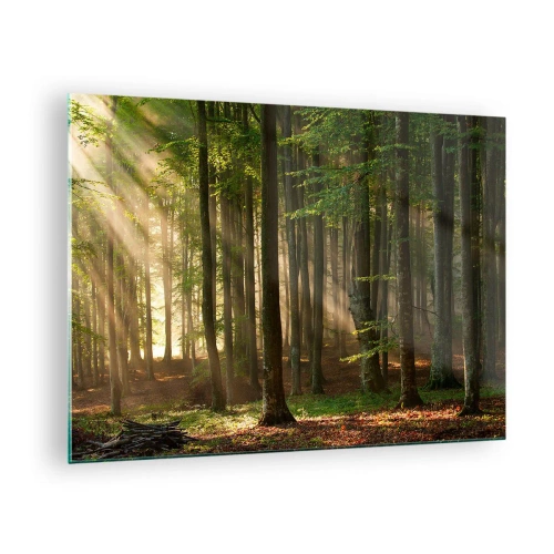 Schilderen op glas - Zonnestralen schijnen door de bomen in het bos - 70x50cm - Stralend op een lentemorgen - Moderne wanddecoratie voor woonkamer en slaapkamer ARTTOR