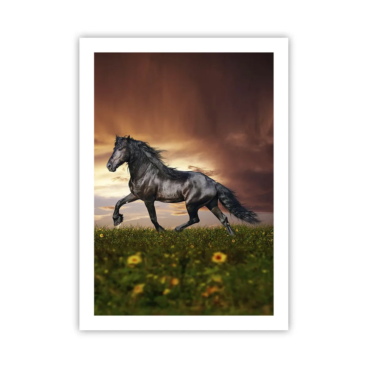 Poster - Zwarte Prins - 50x70 cm