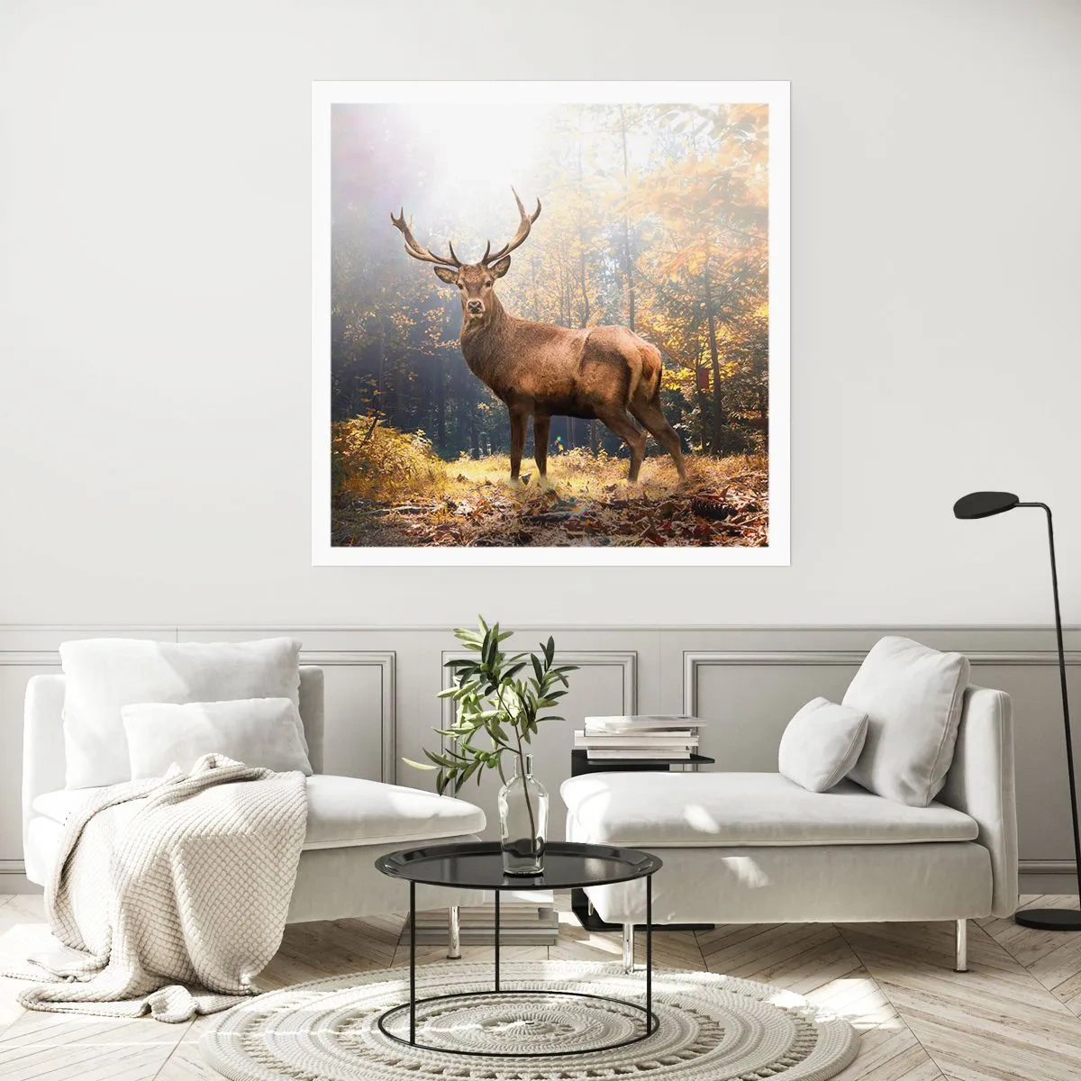 Poster - In volle majesteit - 50x50 cm