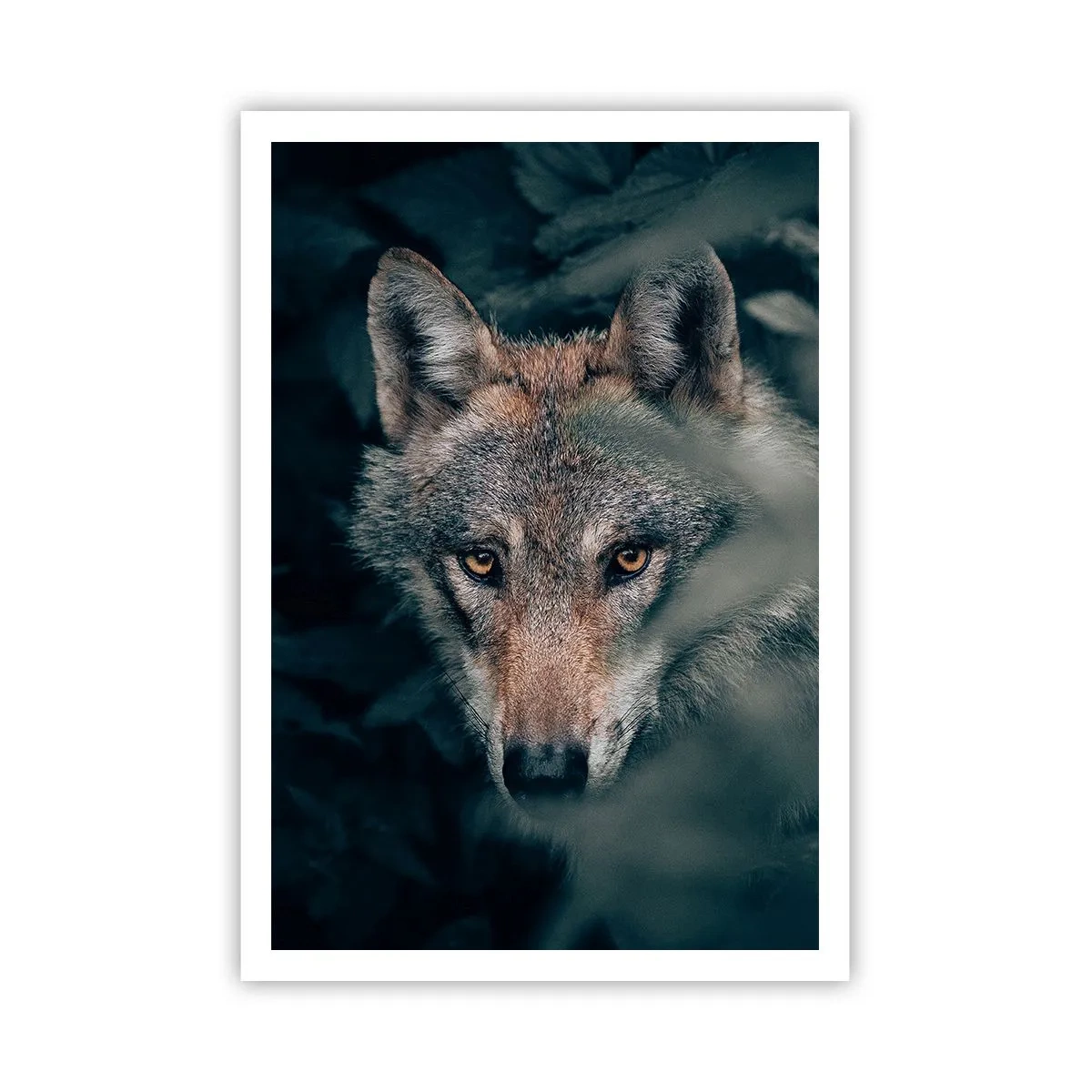 Poster - Jager - 70x100 cm