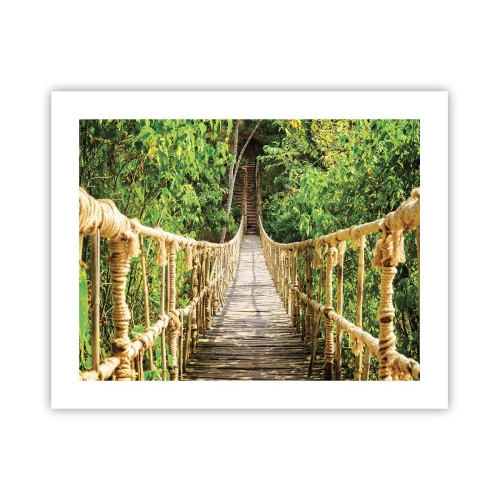 Poster - Opgeschort in het groen - 50x40 cm