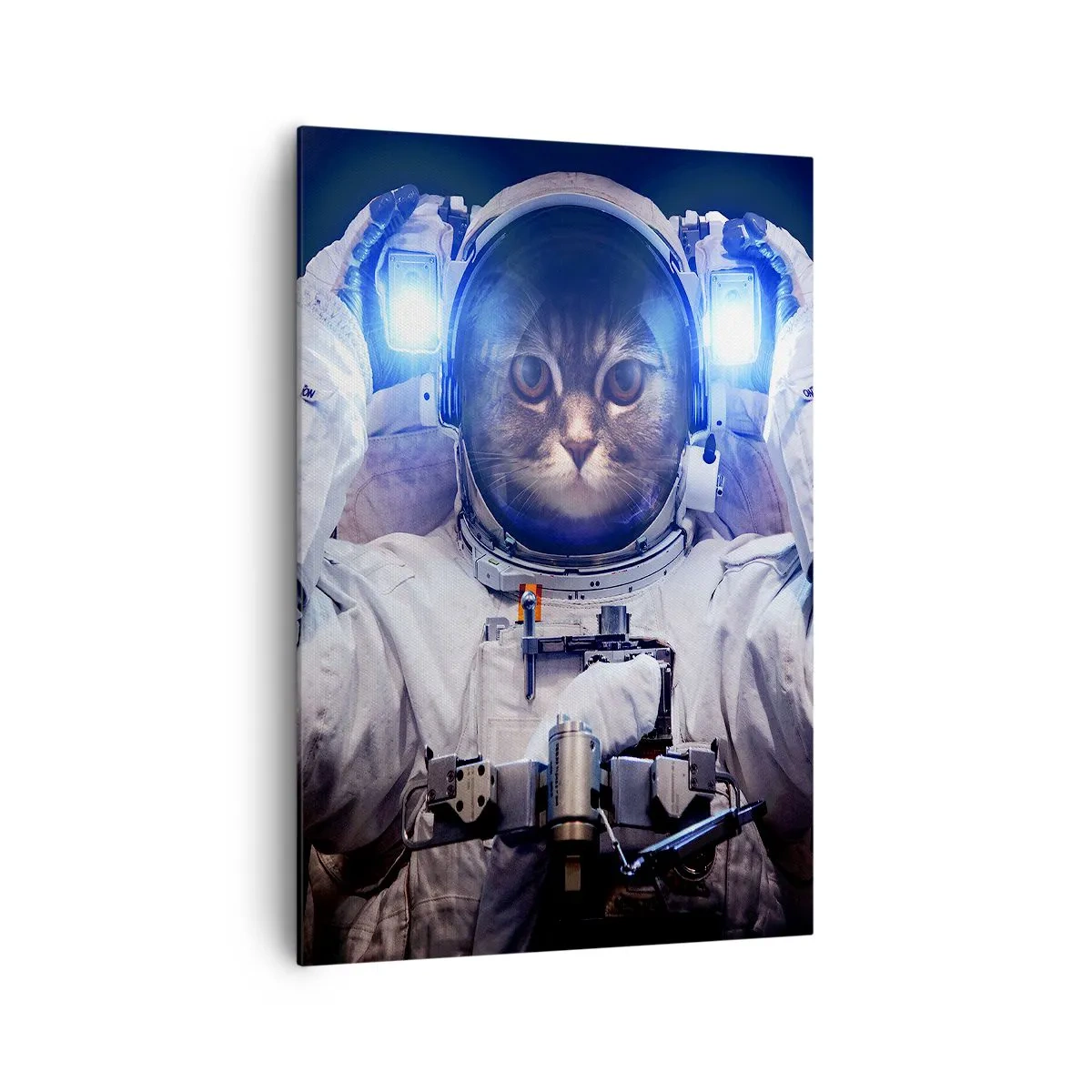 Schilderen op canvas - Houston, je hebt een probleem - 70x100 cm