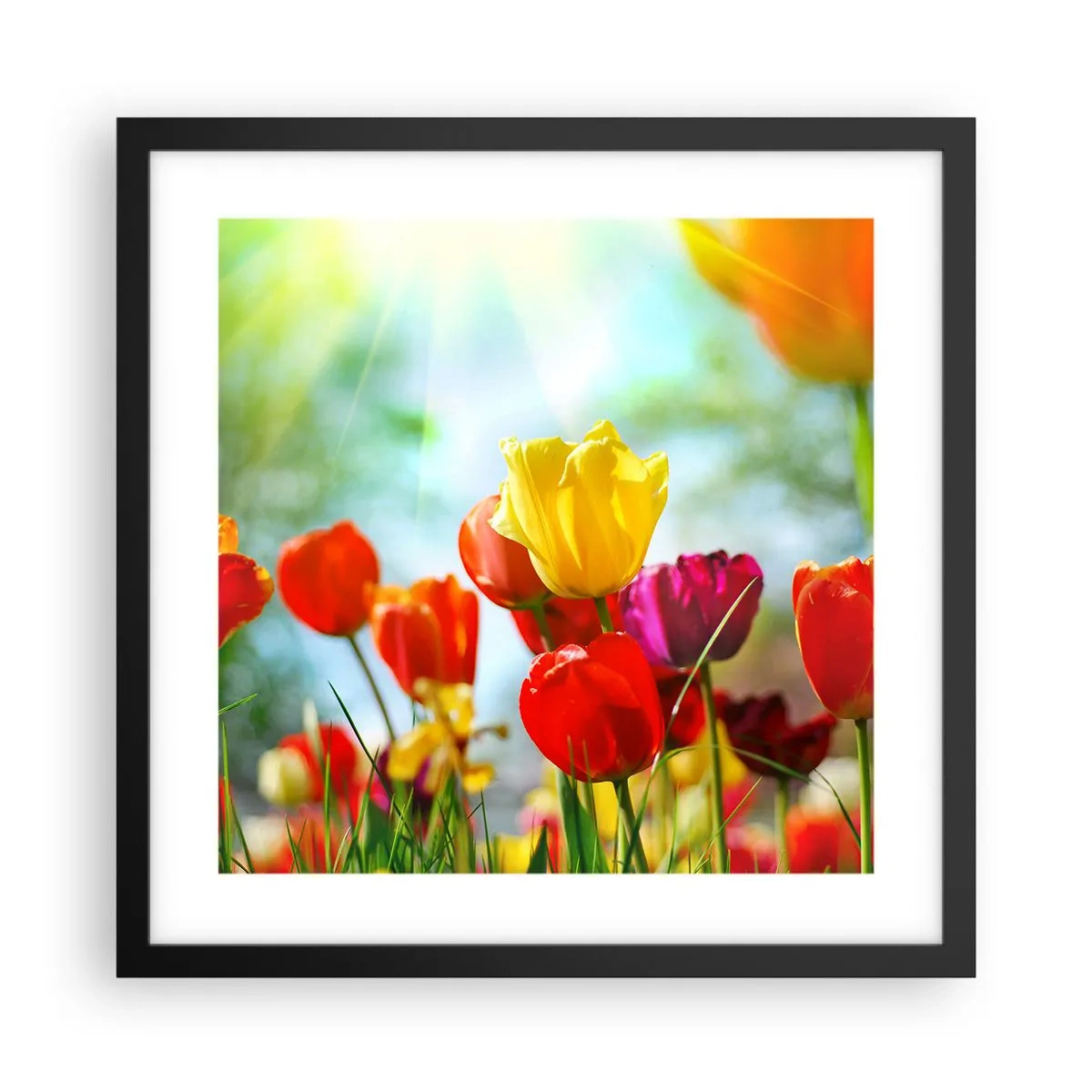 Poster in een zwarte lijst - Alle kleuren van de zon - 40x40 cm