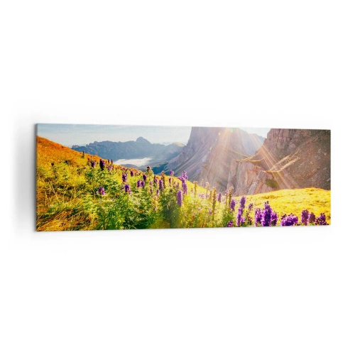 Schilderen op canvas - Het geheime leven van kruiden - 160x50 cm