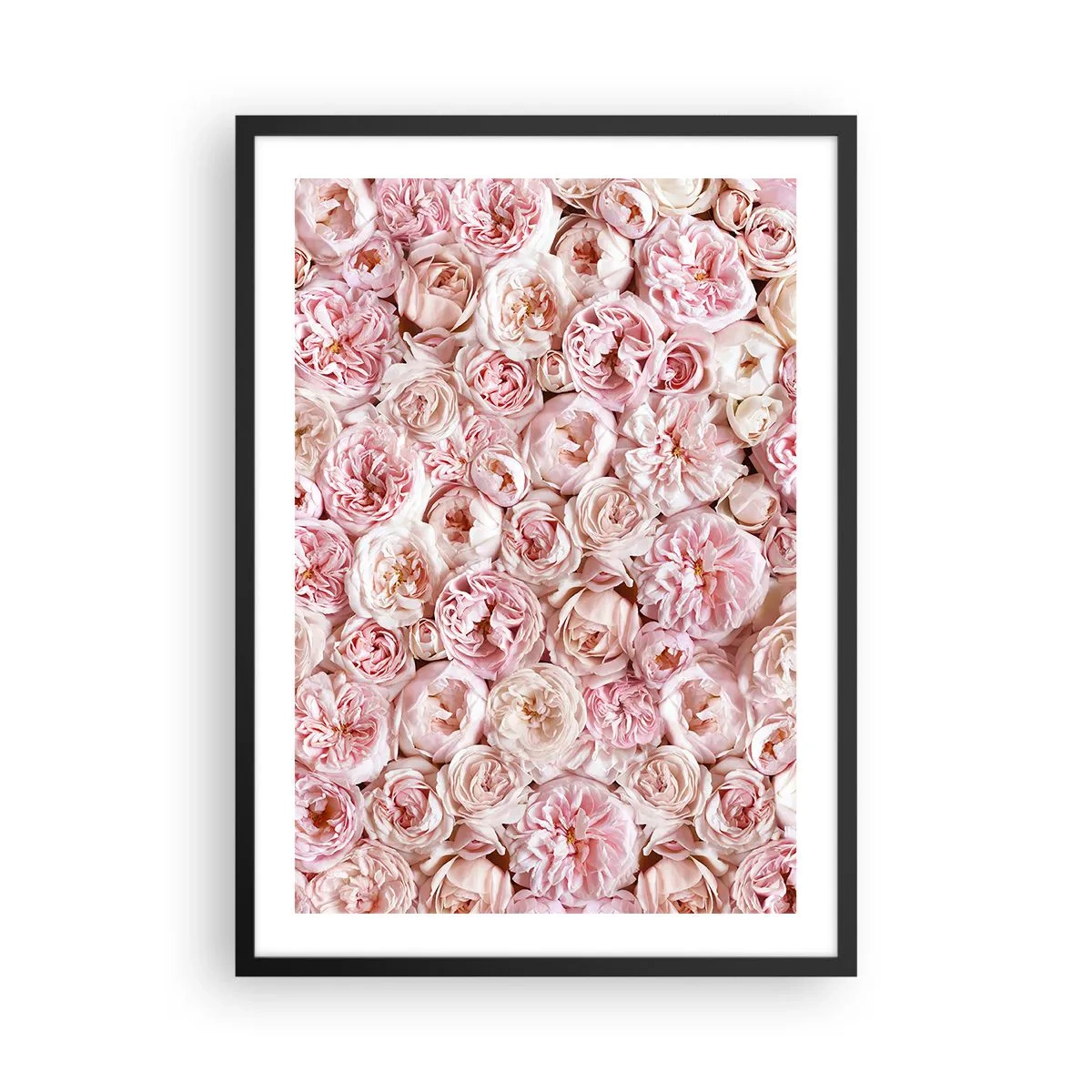 Poster in een zwarte lijst - Een romantisch arrangement van roze bloemen van dichtbij - 50x70cm - Een bed van rozen - Moderne wanddecoratie voor woonkamer en slaapkamer ARTTOR