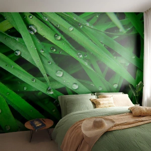 Fotobehang Premium Canvas - Speel groen - Natuur, Groen gras, Tuin - 350x256 cm