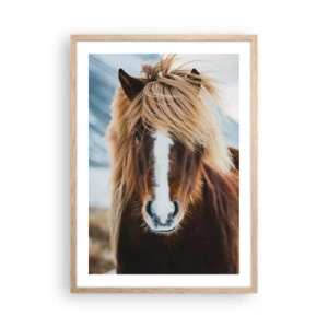 Een poster in een licht eiken lijst - Voel jij je vrij? - 50x70 cm