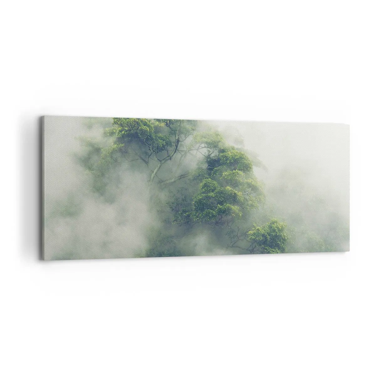 Schilderen op canvas - In mist gehuld - 120x50 cm