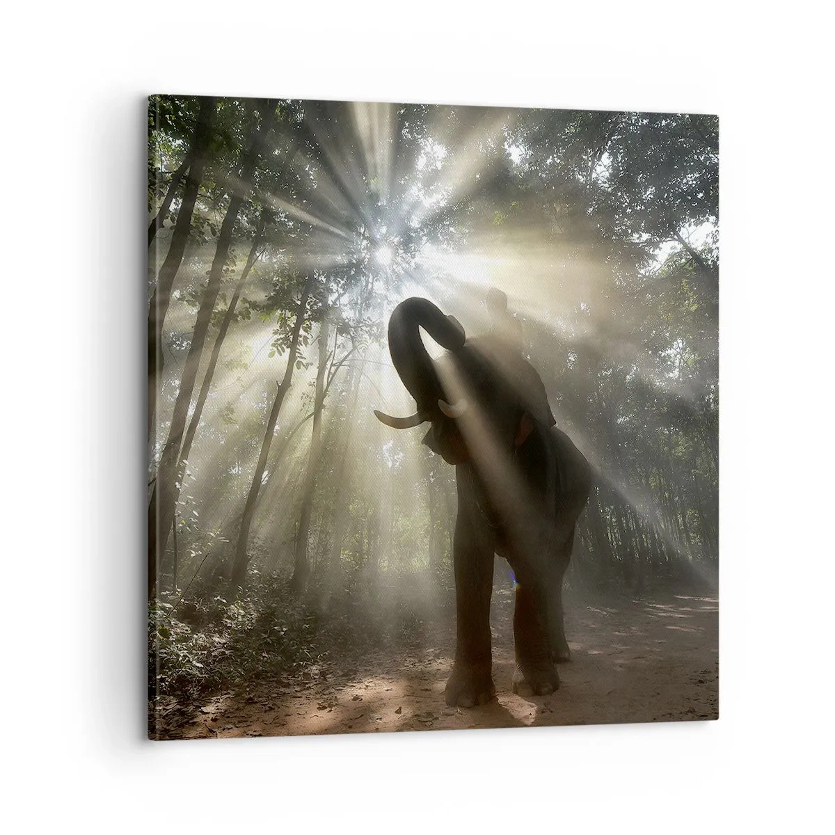 Schilderen op canvas - Onder de gelukkige ster - 60x60 cm