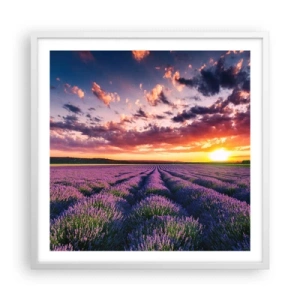 Poster in een witte lijst - Lavendel wereld - 60x60 cm