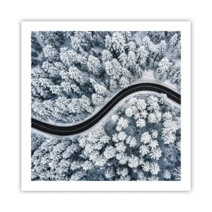 Poster - Door het winterbos - 60x60 cm