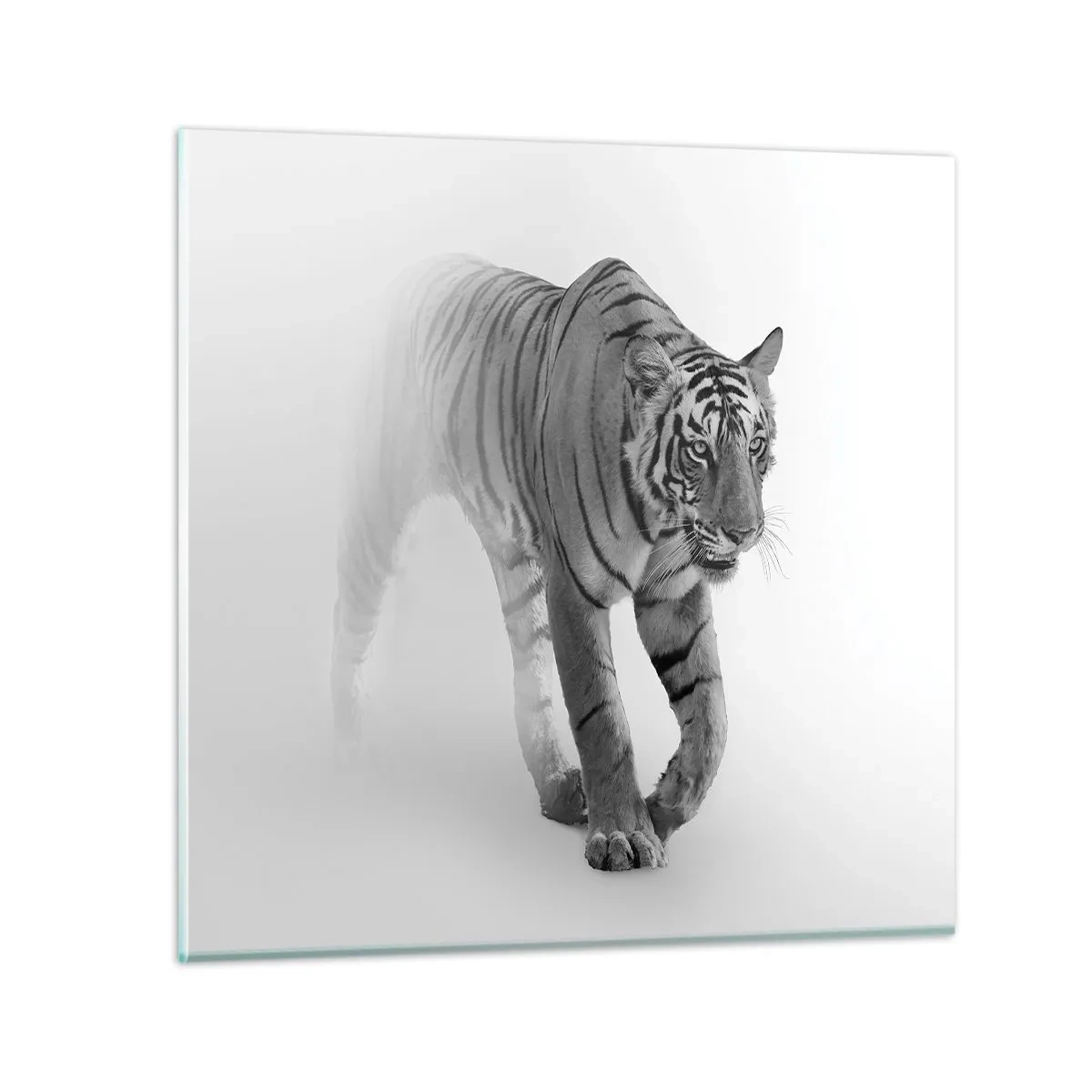 Schilderen op glas - Gehurkt in de mist - 60x60 cm