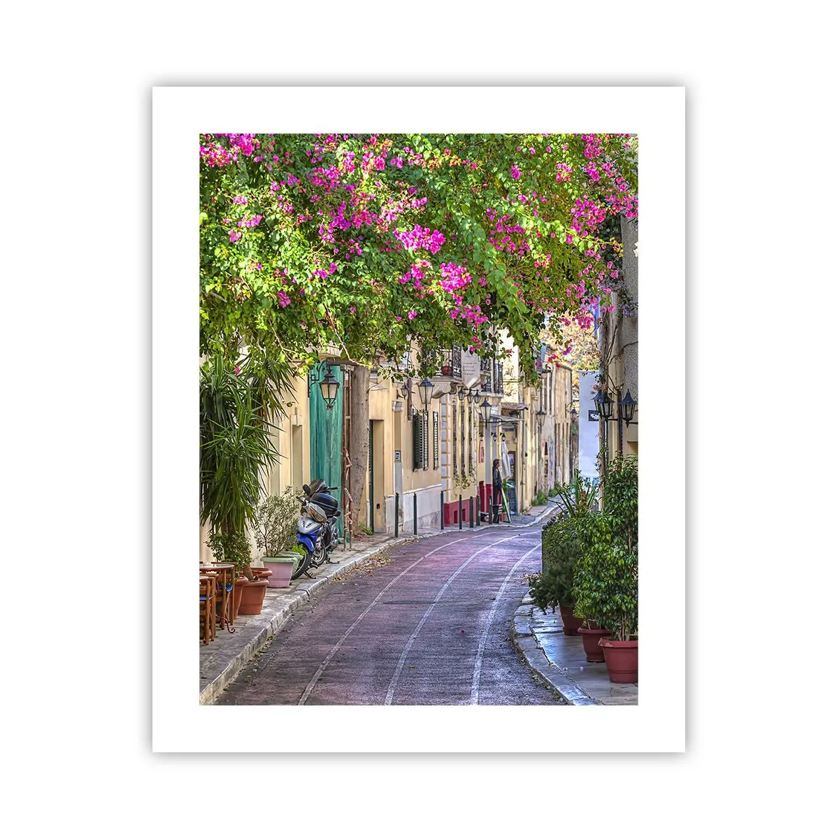 Poster - Bloeiende steeg - 40x50 cm