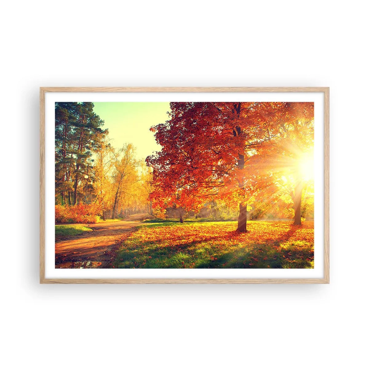 Een poster in een licht eiken lijst - Rood is mooi - 91x61 cm