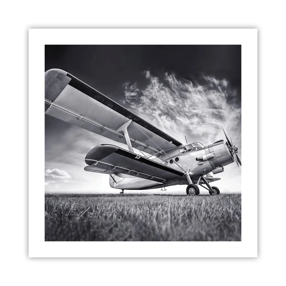 Poster - De gevleugelde zwerver - 50x50 cm