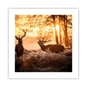 Poster - De droom van een jager - 40x40 cm