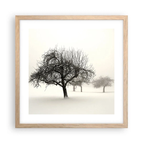 Een poster in een licht eiken lijst - Winterslaap - 40x40 cm
