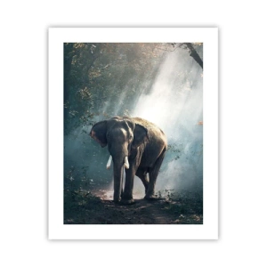 Poster - Een ontspannen wandeling - 40x50 cm