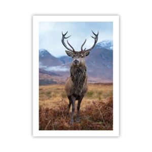 Poster - Op eigen grond - 50x70 cm