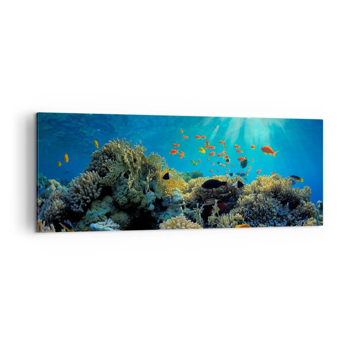 Schilderen op canvas - Onderwater schatten - 140x50 cm